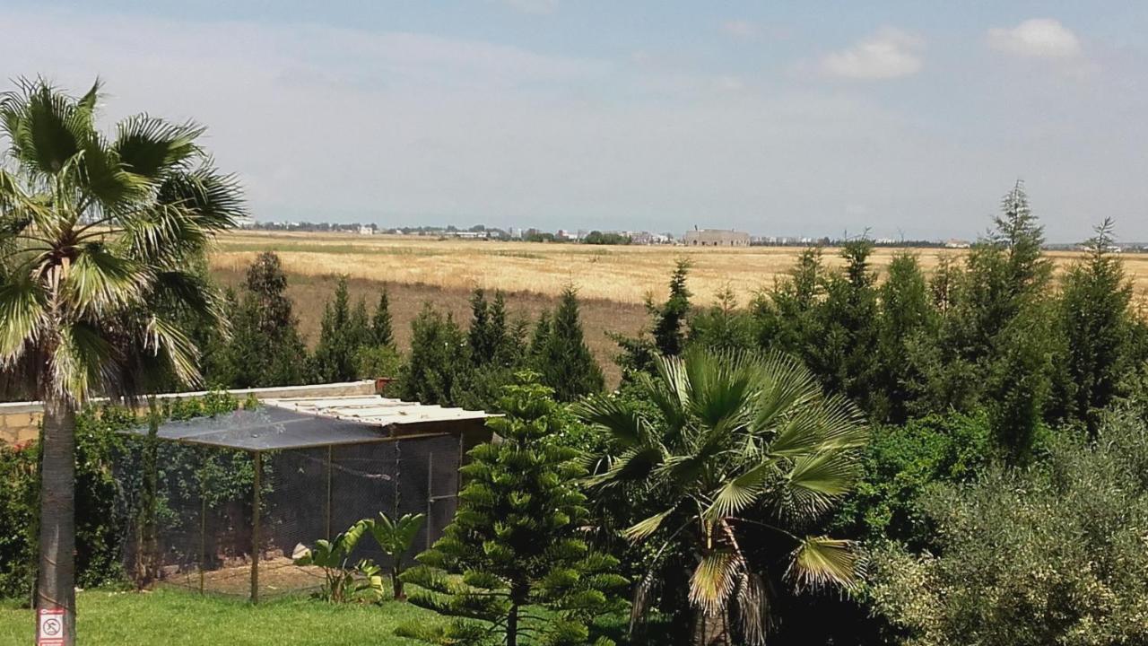 Riad Tanjil Casablanca Exterior photo